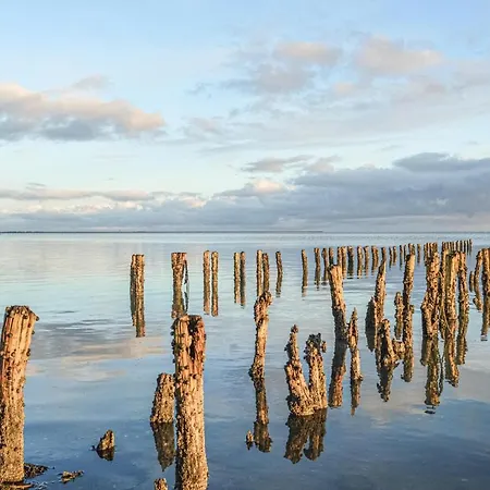 Lakolk Xii Denmark * Rømø